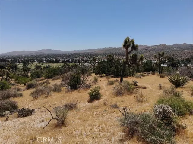 Yucca Valley, CA 92284,0 Yucca TRL