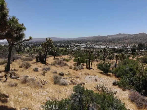 Yucca Valley, CA 92284,0 Yucca TRL