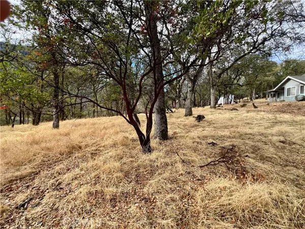 Kelseyville, CA 95451,2595 Eastlake DR