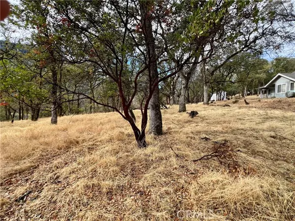 Kelseyville, CA 95451,2595 Eastlake DR