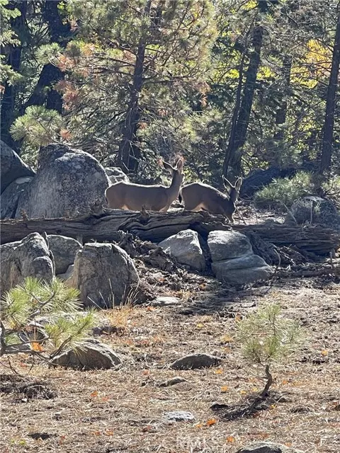 Caliente, CA 93518,15328044 Piute Pines RISE