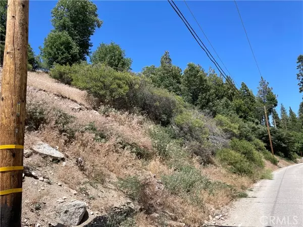 Cedar Glen, CA 92321,22 Lot 22A Hook Creek RD