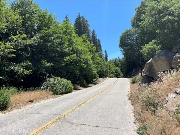 Cedar Glen, CA 92321,22 Lot 22A Hook Creek RD