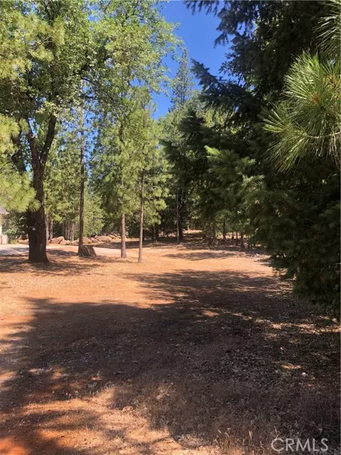 Cobb, CA 95426,8833 Fox DR