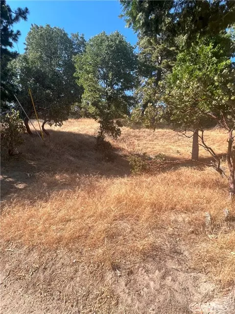 Crestline, CA 92325,0 Arth DR