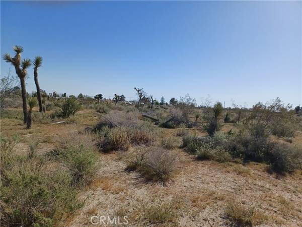 0 Madrid/Bear Valley RD, Pinon Hills, CA 92372