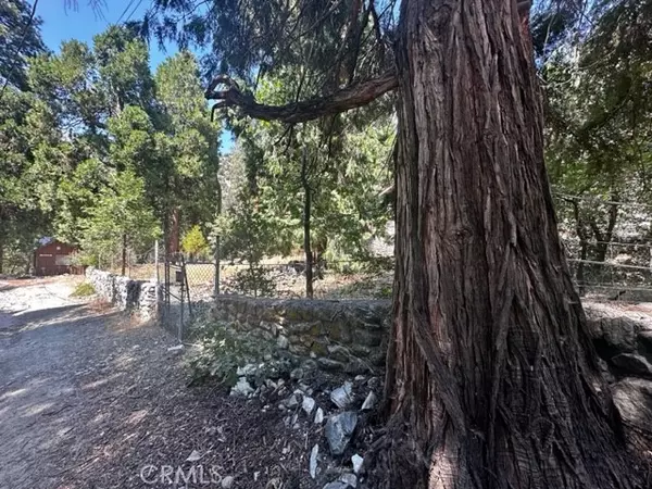 41424 Valley Falls DR, Forest Falls, CA 92373