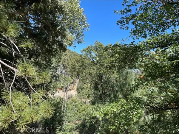 Cedar Glen, CA 92321,53 Lot 53 Maple DR