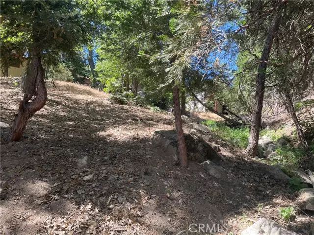 45 Lot 45 Scenic WAY, Rimforest, CA 92378