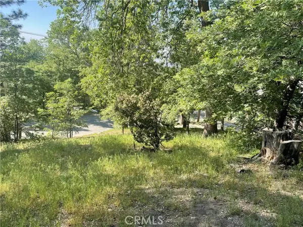 Lake Arrowhead, CA 92352,0 Banff DR