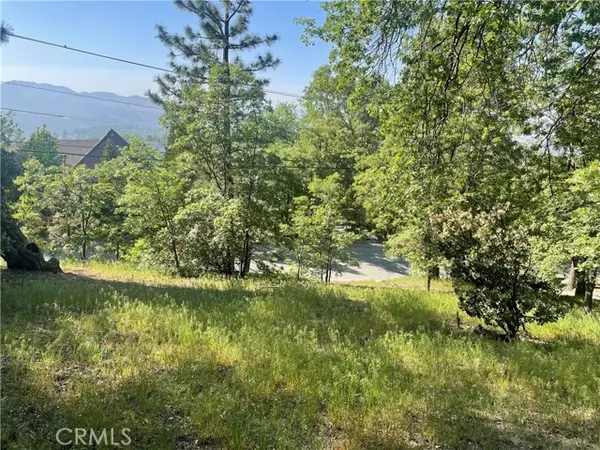 Lake Arrowhead, CA 92352,0 Banff DR