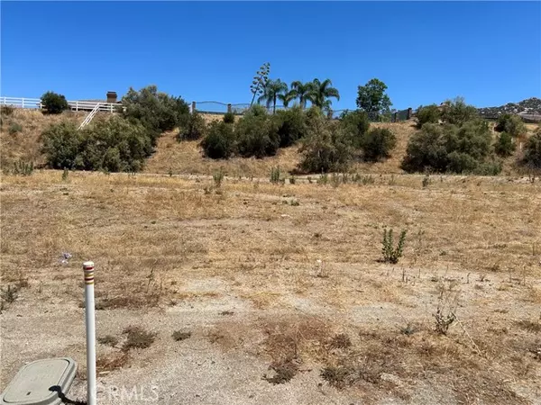 Nuevo, CA 92567,22316 Crown Princess CT