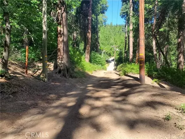 Cedarpines Park, CA 92322,47 El Valle