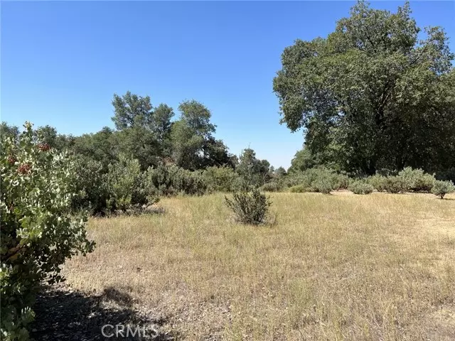 0 2.43AC Road 601, Ahwahnee, CA 93601