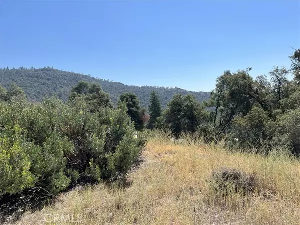 Ahwahnee, CA 93601,0 2.43AC Road 601