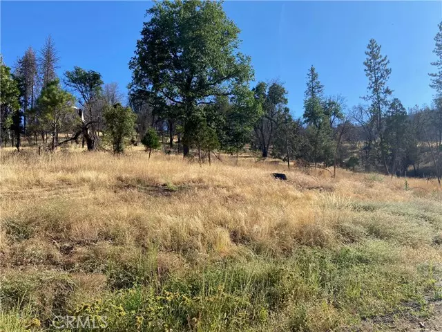 3154 Wild Dove LN, Mariposa, CA 95338