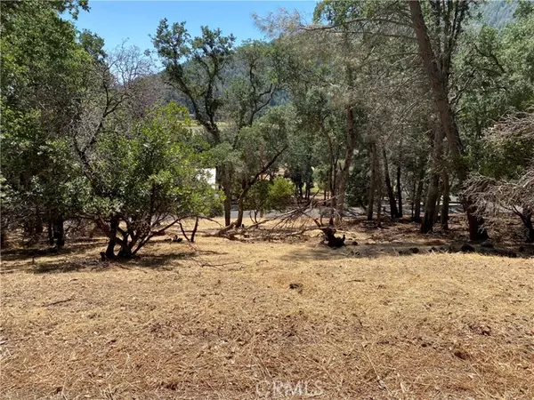 Kelseyville, CA 95451,2671 Greenway DR