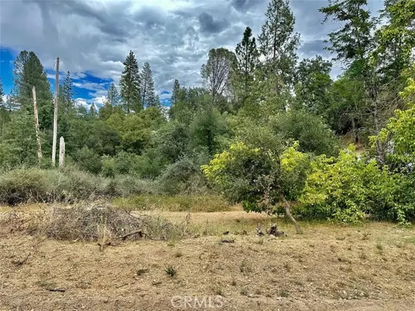 Oakhurst, CA 93644,0 Lot 47 Rusty LN