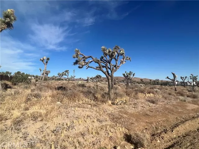 Yucca Valley, CA 92284,111 Wallaby