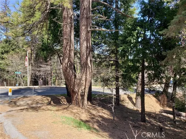 Crestline, CA 92325,0 San Moritz DR