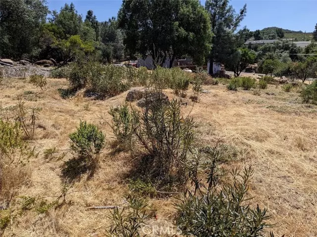 Kelseyville, CA 95451,9709 Tenaya WAY