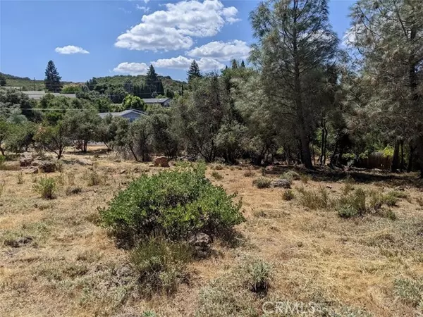 Kelseyville, CA 95451,9709 Tenaya WAY