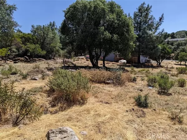 Kelseyville, CA 95451,9709 Tenaya WAY