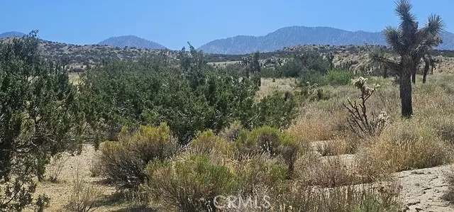 0 Avenue X / 136th St E, Pearblossom, CA 93553