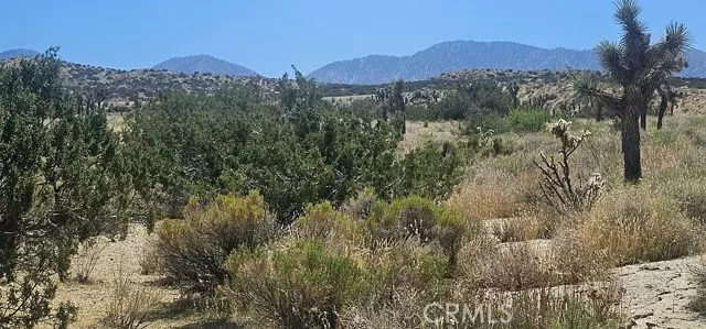 Pearblossom, CA 93553,0 Avenue X / 136th St E