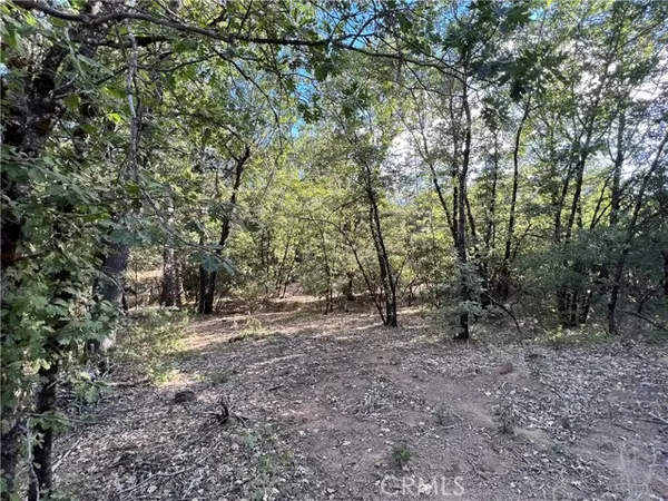 Kelseyville, CA 95451,9204 Diamond Dust TRL