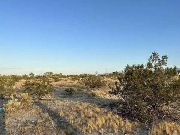 Borrego Springs, CA 92004,Borrego Springs RD