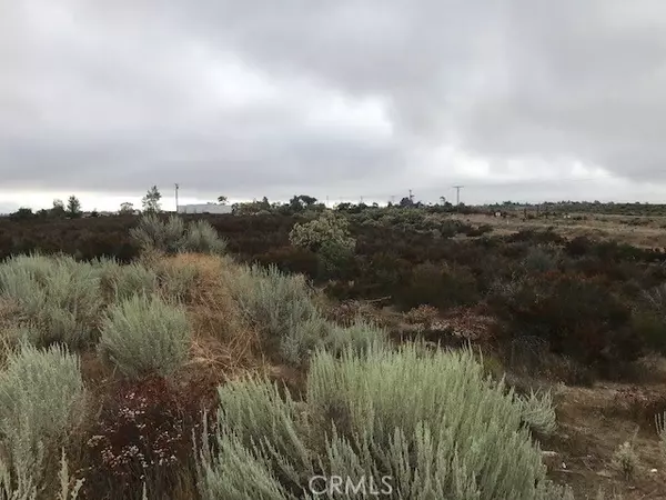 Anza, CA 92539,0 Cary RD
