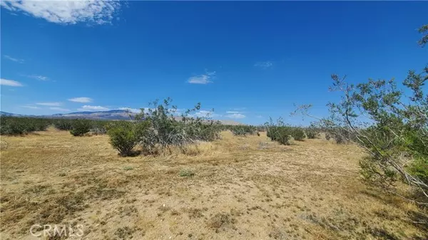 Rosamond, CA 93560,0 Budlong Ave & 114th St West