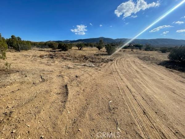 985 Cholla RD, Pinon Hills, CA 92372