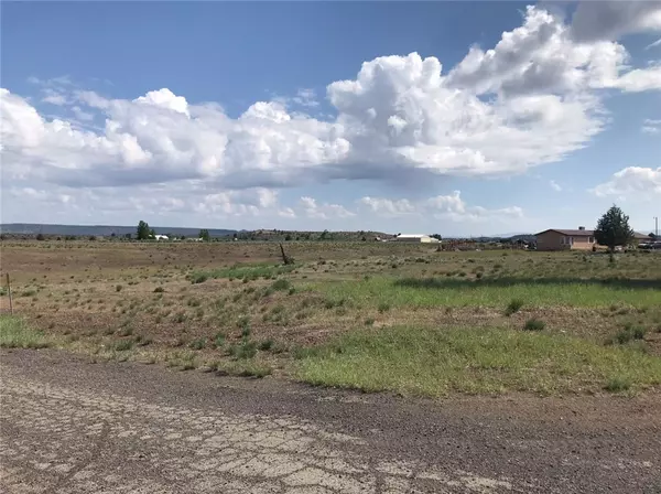 Alturas, CA 96101,0 Shasta View DR