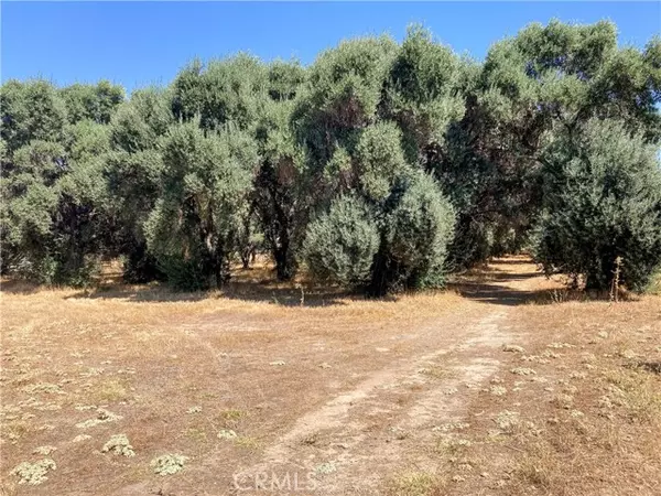 Corning, CA 96021,3532 Columbia Ave