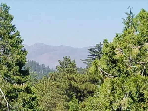 Twin Peaks, CA 92391,0 Boulder LN