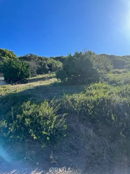 1004 Palos Verdes DR, Palos Verdes Estates, CA 90274