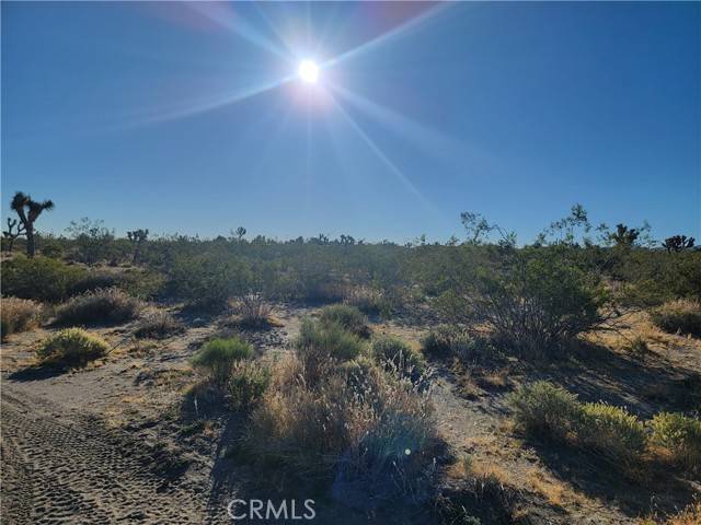 Pinon Hills, CA 92372,0 Buckwheat RD