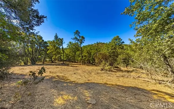 Oakhurst, CA 93644,0 100 AC China Creek WAY