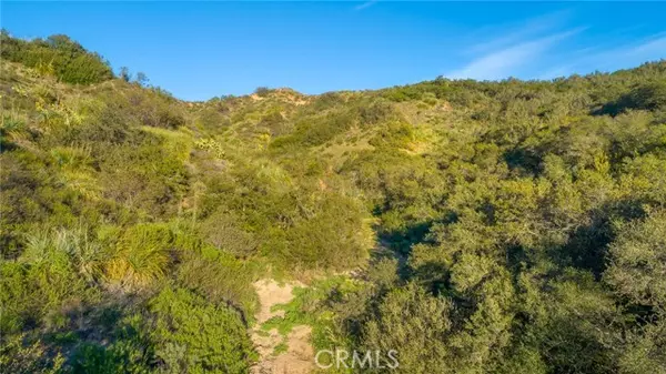 Trabuco Canyon, CA 92679,20061 Summit Trail RD