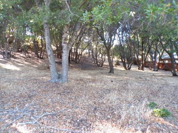 10743 Boren Bega DR, Kelseyville, CA 95451