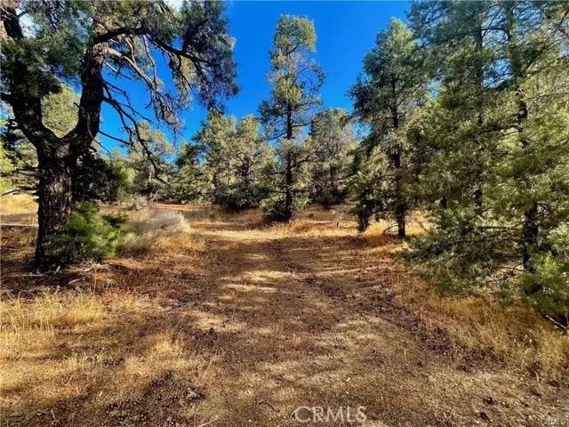 0 Homeridge RD, Pinon Hills, CA 92372