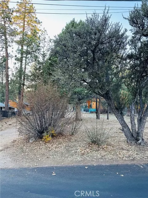 Sugarloaf, CA 92386,560 Highland AVE