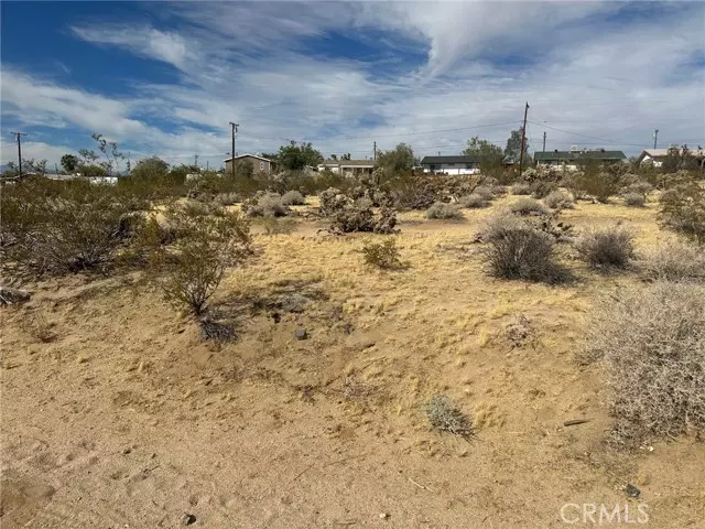 Joshua Tree, CA 92252,0 E Pkwy