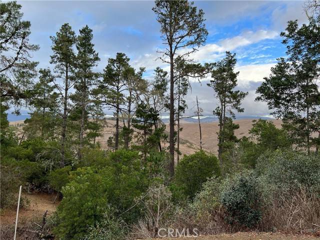 1925 Arliss DR, Cambria, CA 93428