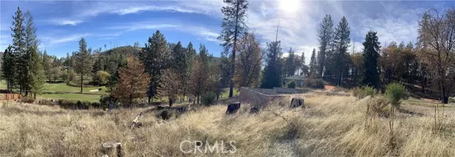 Cobb, CA 95426,14670 Lema LN