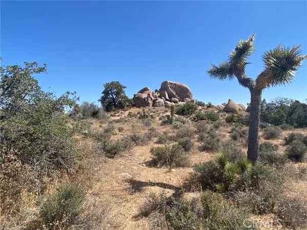 0 Geronimo TRL, Pioneertown, CA 92268