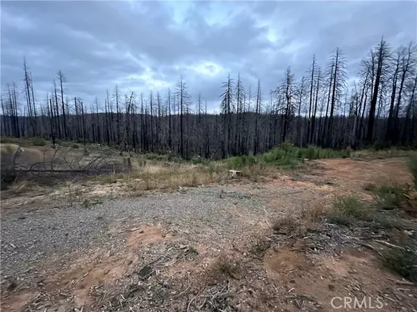 Berry Creek, CA 95916,11690 Oroville Quincy