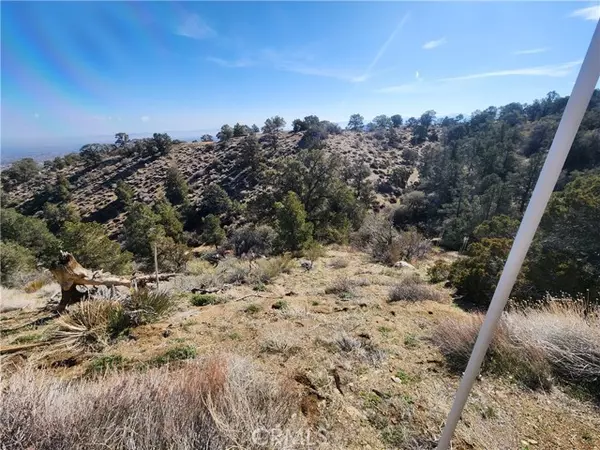 Wrightwood, CA 92397,0 Scenic DR